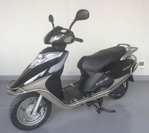 雄鹰XY125T-29E两轮摩托车公告图片