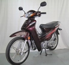 琪盛QS110-C两轮摩托车图片