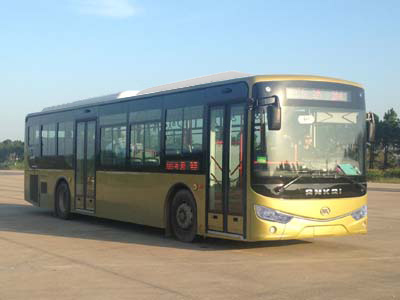 安凯HFF6123G03CHEV-21插电式混合动力城市客车公告图片