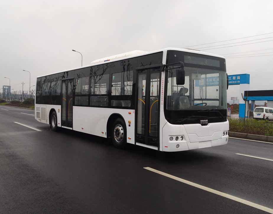 中国中车TEG6129BEV06纯电动城市客车图片