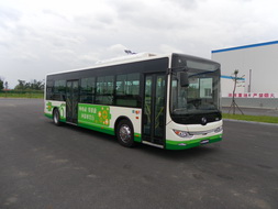 黄海10.5米18-32座纯电动城市客车(DD6109EV5)