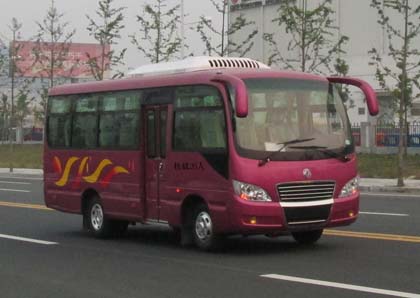 东风6.6米24-26座客车(EQ6660LTN4)
