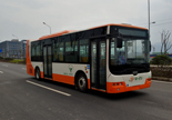 中国中车10.5米10-36座纯电动城市客车(TEG6106BEV20)