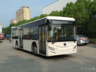紫象11.5米10-40座城市客车(HQK6119N5GJ1)