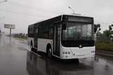中国中车TEG6106BEV11纯电动城市客车公告图片