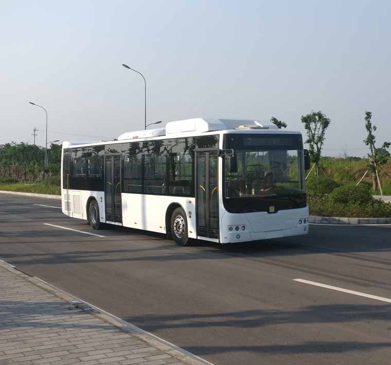 中国中车TEG6129BEV08纯电动城市客车公告图片