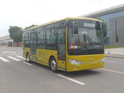 安凯牌HFF6800G03EV62纯电动城市客车图片