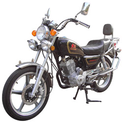 大阳牌DY125-A两轮摩托车图片