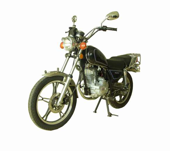 天禧牌TX125-5两轮摩托车公告图片