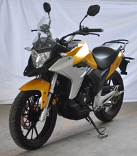 新感觉牌XGJ200-7两轮摩托车公告图片