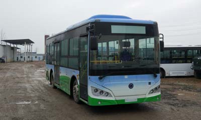 紫象牌8.1米12-29座纯电动城市客车(HQK6819BEVB8)