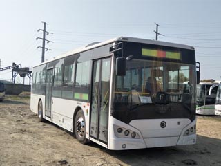 紫象牌HQK6129BEVB1纯电动城市客车公告图片