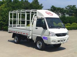环球牌GZQ5033CCYBEV纯电动仓栅式运输车