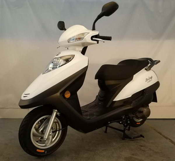 金浪牌JL125T-6两轮摩托车公告图片