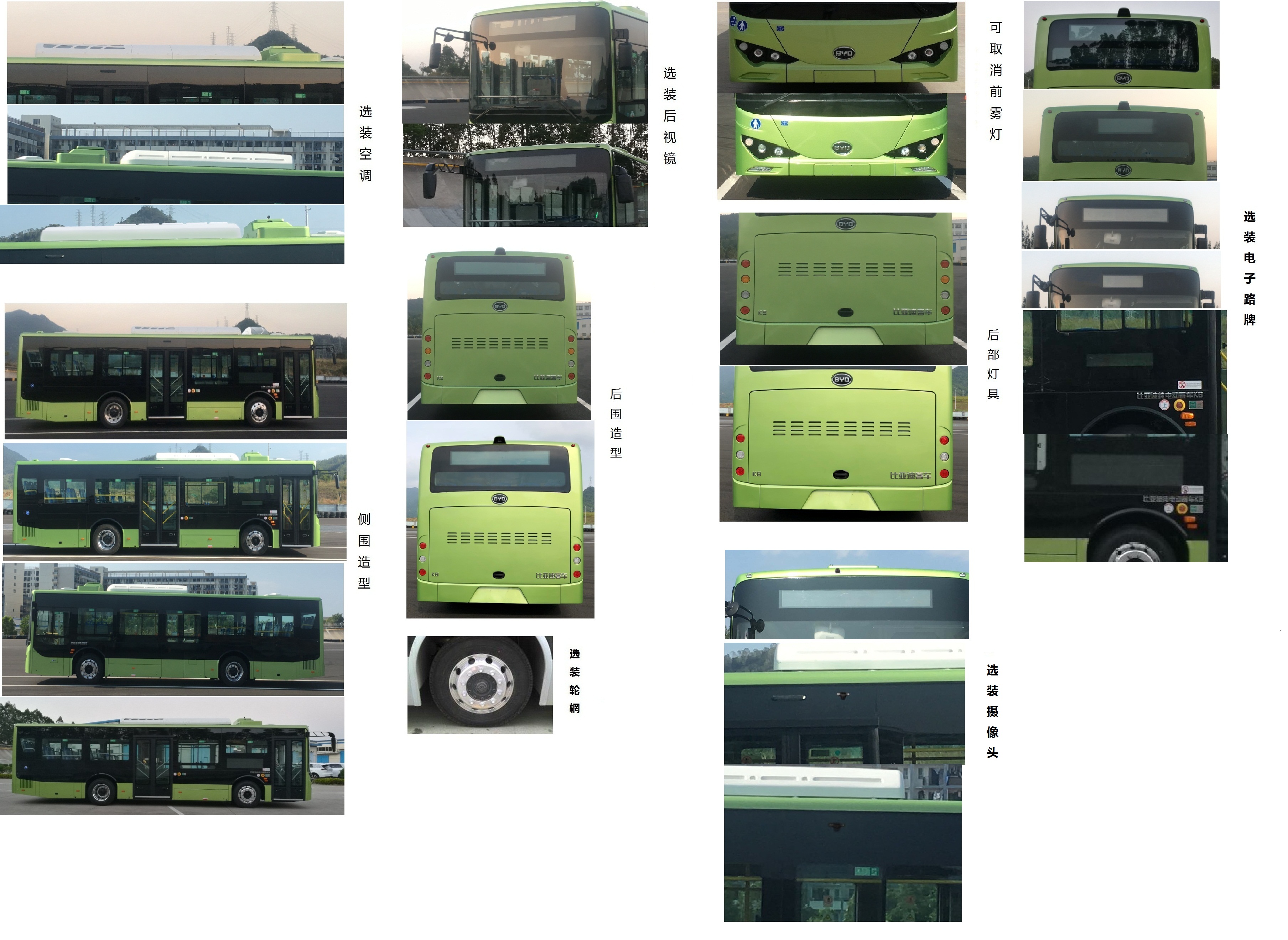 比亚迪牌BYD6101LGEV1纯电动城市客车公告图片