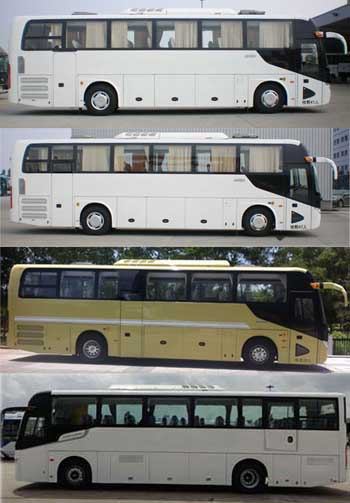 金龙牌XMQ6113BYD5B客车公告图片