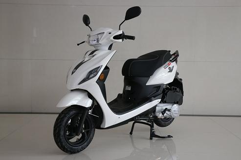 QL125T-2B 轻铃牌125CC汽油前盘式后鼓式两轮摩托车图片