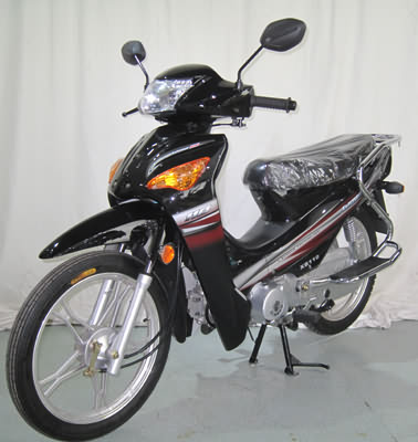 新本牌XB110两轮摩托车公告图片