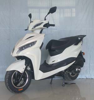 王野牌WY125T-E两轮摩托车公告图片