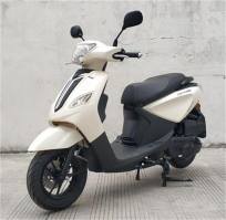 两轮摩托车