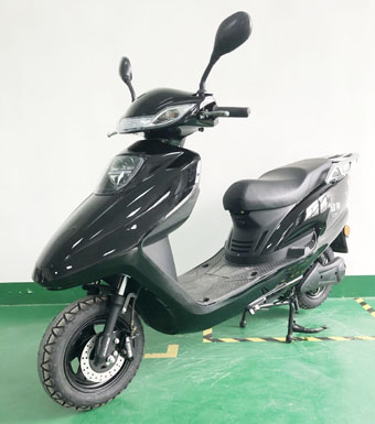 绿驹牌LJ1500DT-6电动两轮摩托车公告图片