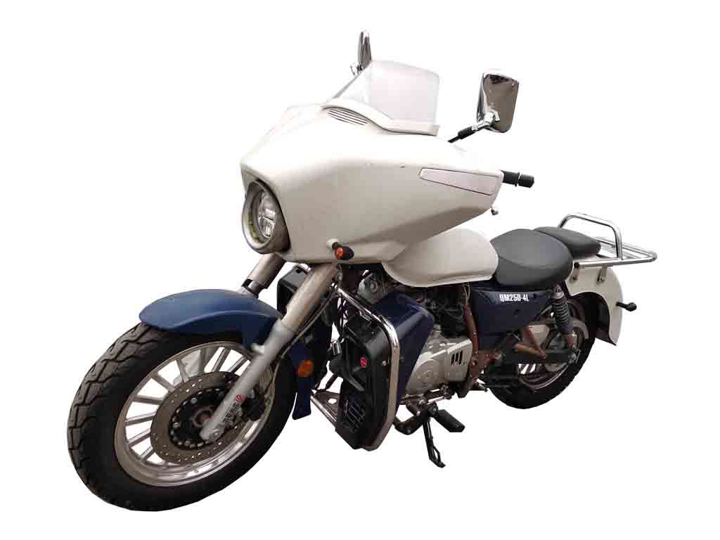 轻骑牌QM250-4L两轮摩托车公告图片