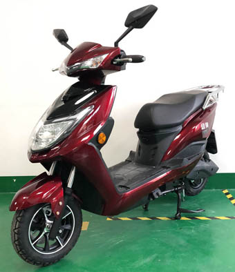 绿驹牌LJ1500DT-3电动两轮摩托车公告图片