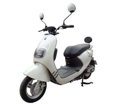 大阳牌DY1200DT-3电动两轮摩托车公告图片