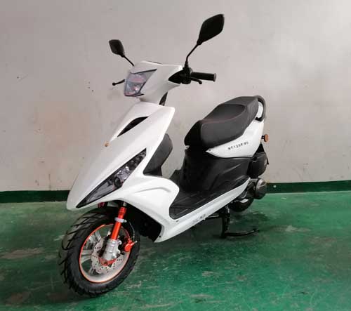 三松牌SS125T-9S两轮摩托车公告图片