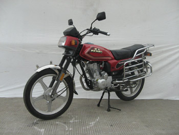 飞肯 GS老红 FK125-6A两轮摩托车图片