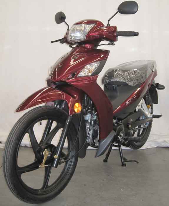 光速牌GS125-21两轮摩托车公告图片