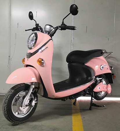 ZB1200DT-4 五星钻豹牌纯电动前盘式后鼓式电动两轮摩托车图片