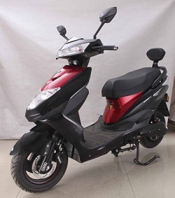 立马牌LM1200DT-6电动两轮摩托车公告图片