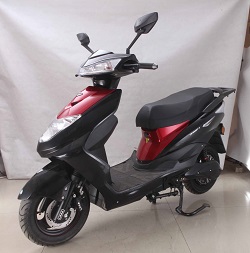 立马牌LM1200DT-6电动两轮摩托车公告图片