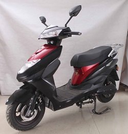 立马牌LM1200DT-6电动两轮摩托车公告图片