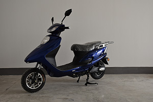 新世纪牌XSJ1000DT-2电动两轮摩托车公告图片