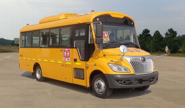 宇通牌ZK6745DX53幼儿专用校车图片