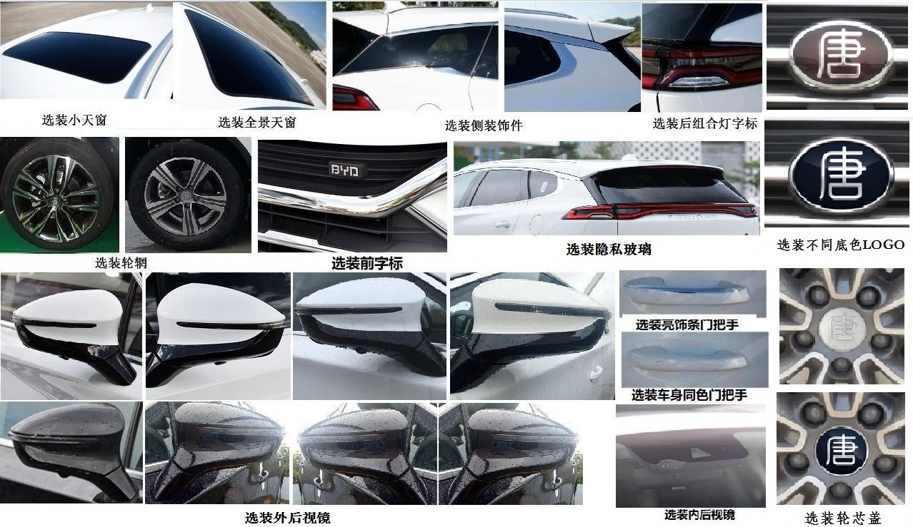 比亚迪牌BYD6490ST6A多用途乘用车公告图片