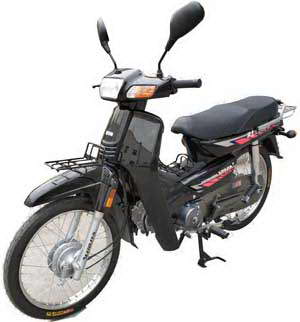 洛嘉牌LJ125-21两轮摩托车公告图片