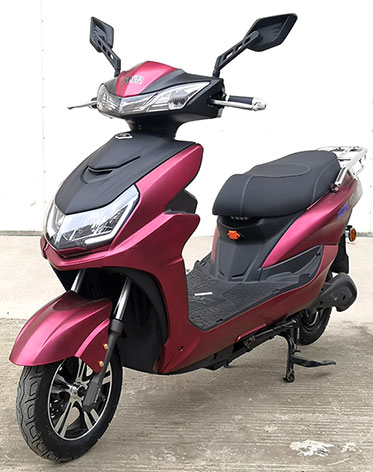 威震牌WZ1200DT-2D电动两轮摩托车公告图片