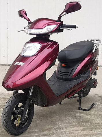 威震牌WZ1200DT-2A电动两轮摩托车公告图片