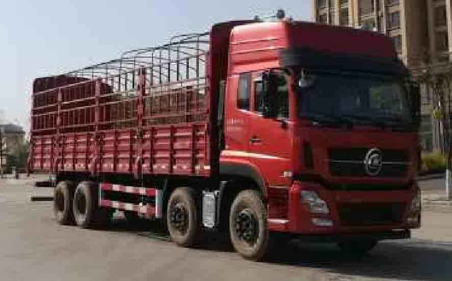 程力牌CL5310CCYA5倉柵式運(yùn)輸車公告圖片