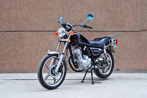 三鑫牌SX125-28两轮摩托车图片
