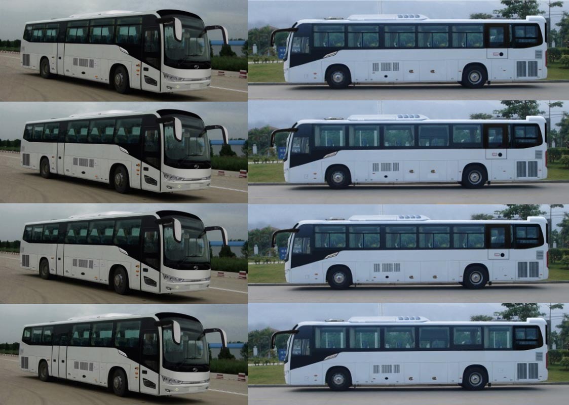 金龙牌XMQ6120BGN5城市客车公告图片