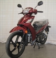 三本牌SM125-3C两轮摩托车公告图片
