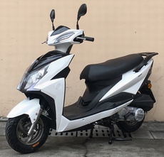 之威牌ZW125T-22C两轮摩托车图片