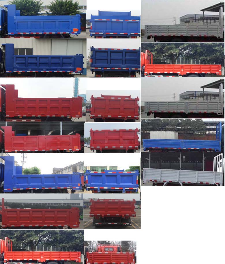 王牌牌CDW2042HA2R5P越野自卸汽车公告图片