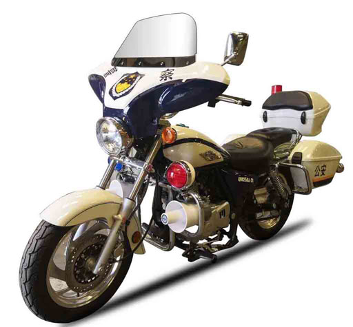 轻骑牌QM250J-8A两轮摩托车图片