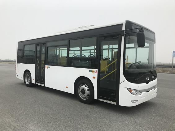 黄海牌DD6851EV6纯电动城市客车图片