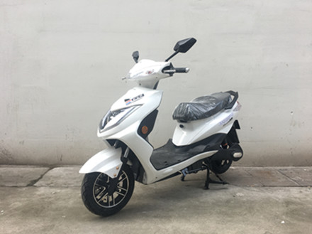 新安奇牌XAQ1200DT-2电动两轮摩托车公告图片